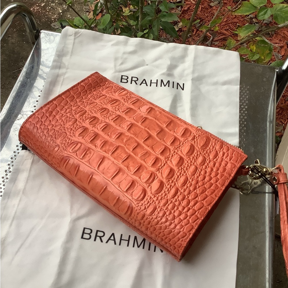 BRAHMIN - Picture 2 of 3